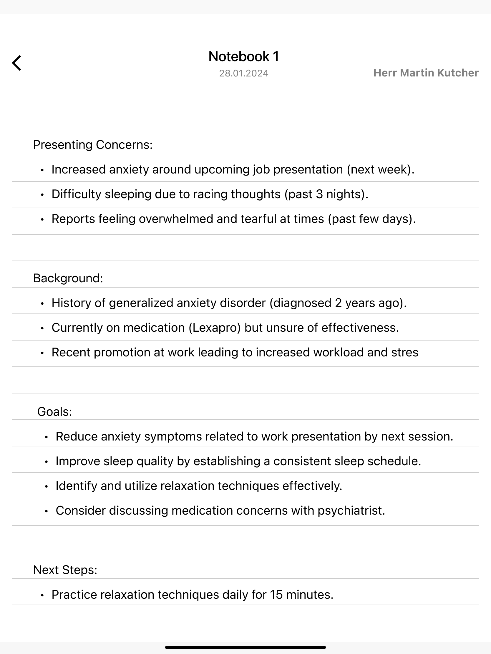 Session notebook wireframe with concerns background goals and next steps